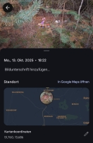 Foto: wilde Entsorgung Kinderspielzeug 